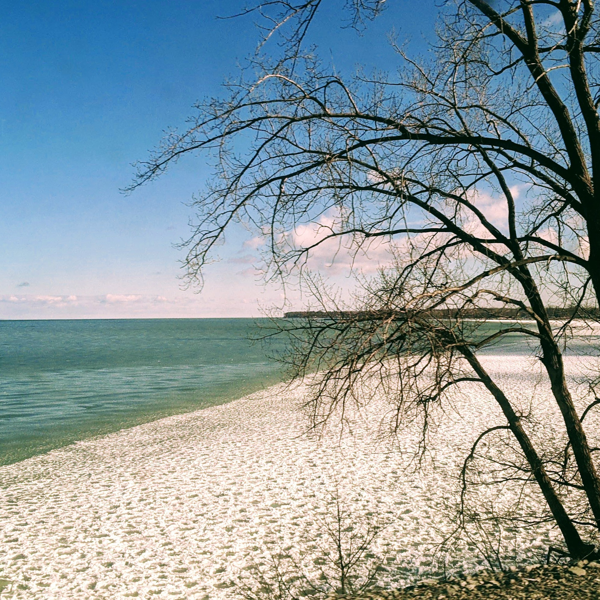 Thumbnail for Private Soul